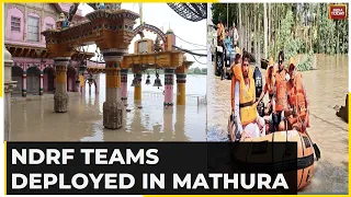 Mathura & Vrindavan Flooded: Low Lying Areas, Temples Inundated | Swelling Yamuna Halts Daily Life