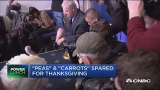 Trump pardons turkeys named 'Peas' and 'Carrots' for Thanksgiving