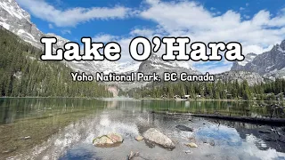 Lake O'Hara Shoreline Trail | Canadian Rockies Best Hike Trail | Yoho National Park