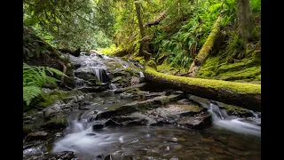 Silky Waterfalls Shot Handheld with my OM1 using Live ND and Handheld Assist