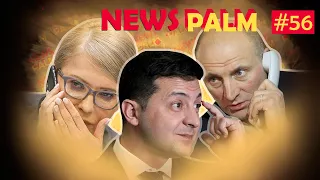 Мільйони Тимошенко, гомосапієнс Зеленський, мер Черкас чинить опір / Ньюспалм #56