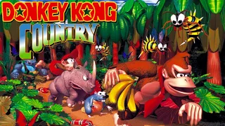 Donkey Kong Country - Full Game 101% Walkthrough