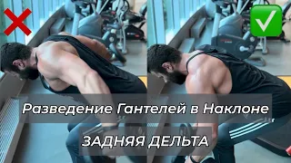 Разведение Гантелей в Наклоне (задняя дельта)