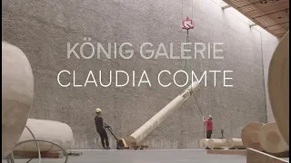 CLAUDIA COMTE | WHEN DINOSAURS RULED THE EARTH