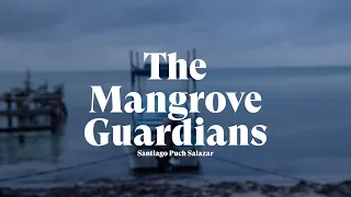 Mexico’s Mangrove Guardians: Fish Refuge Rescue