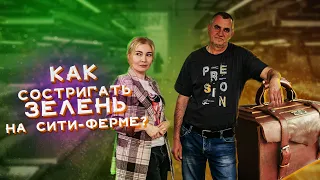 Павлодар/Самая крупная сити-ферма Казахстана/Бизнес на микрозелени и витграссе