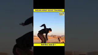 INDIAN ARMY DOGS TRAINING कैसे दिया जाता है ? 🔥🙄 #shorts #dog #indianarmy