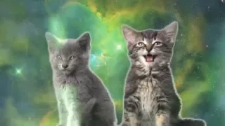 Space Cats - Magic Fly [ Spank0 Dubstep Remix ]