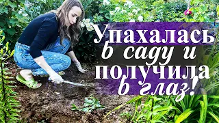 САЖАЛА ДО НОЧИ |  ХОЖУ С ФИНГАЛОМ | ДАЧНЫЕ ПЕРЕДЕЛКИ | РОЗА ПИОНКА И ЛАВАНДА