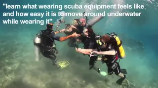 Discover Scuba Diving Disaster