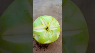 Green apple cutting style! #cuttingskills #satisfying #fruitcutting #rogator #viralvideo #shorts