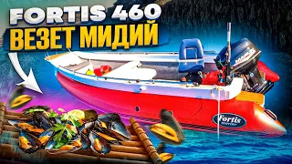 Fortis 460z везёт нам мидию