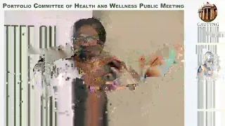 Portfolio Committee of Health and Wellness Public Meeting