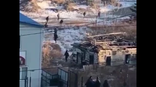 Массовая драка в во Владивостоке