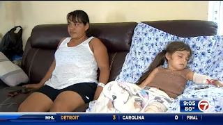 Fort Lauderdale mother and child attacked by 2 pit bulls, both recovering