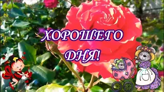 ДОБРОЕ УТРО!ХОРОШЕГО ДНЯ!МУЗЫКАЛЬНАЯ ВИДЕО ОТКРЫТКА!КРАСИВОЕ ПОЖЕЛАНИЕ!