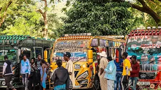 Namanga Nights and Nairobi Laughs: Road Trip Delight!