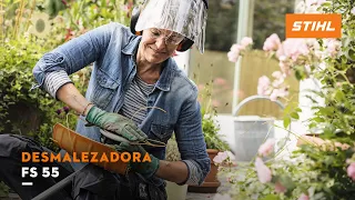 Desmalezadoras FS 55 - STIHL