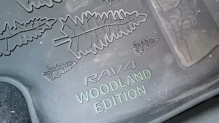 Rav4 Ambient Lighting on Woodland, XLE, etc trims.