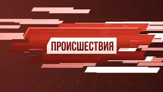 Рубрика «Происшествия». Выпуск 26 ноября 2019 года