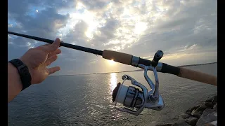 New Shimano Stradic 2500 Unboxed - Immediately Spooled By Giant Fish