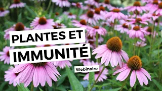 Comment Renforcer son Système Immunitaire avec les Plantes ? (Webinaire)