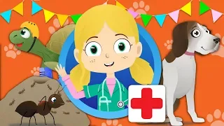 Alice The Ant Visits Dr Poppy's Pet Rescue | Animals For Kids