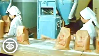 Комбинат хлебопродуктов. Время. Эфир 15 февраля 1978