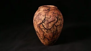 Lichtenberg Fractal Burned Vessel