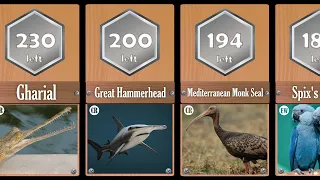 Comparison: Most Endangered Species 2023