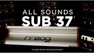 All Sounds Moog Sub 37