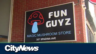 Magic mushroom shops sprouting up in Toronto with no sign of crackdown