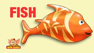 Animal Facts - Fish