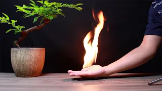 PLAY WITH FIRE | 10 SCIENCE EXPERIMENTS