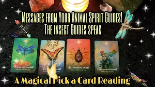 Pick A Card Messages from your Animal Spirit Guides! Insect Guides Speak! Magical Tarot Reading