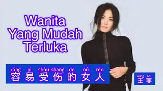Rong Yi Shou Shang De Nu Ren - 容易受伤的女人 - Faye Wong (王菲) - Lagu Mandarin Subtitle Indonesia Pinyin