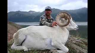 KC Ramsey Alaska Dall Sheep Hunt