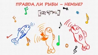 Правда ли рыбы - немые?— Научпок