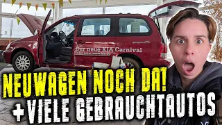 KOMPLETT EINGERICHTETES AUTOHAUS MIT WERKSTATT & TEILELAGER ENTDECKT!