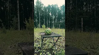 Выстрел по арбузу #fire #watermelon #леший #shooting #shorts