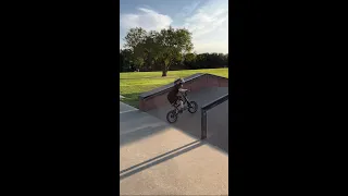 Dad Watch this! 5 year old BMX kid Having some fun at the Skatepark! #shorts #bmx #skatepark