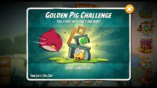 The Epic Golden Pig Challenge On Angry Birds 2 Pc!