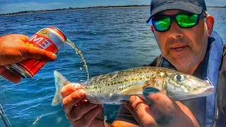 Do this to Catch Your Target Fish! King George Whiting Catch n Cook