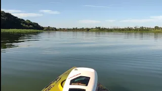 Esse peixe  não dá trégua