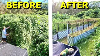 ULTIMATE Raised Garden Bed RESCUE Fixing Common Problems