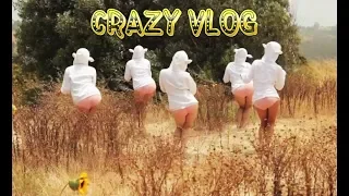 Crazy Vlog #13 Thanks, Smokey ! - Sexy Sheeps Song | Песня сексуальная овца