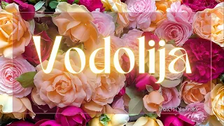 VODOLIJA🌟Trud se isplati! Uspeh stiže! Tarot 19.05 - 25.05