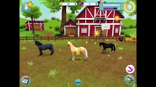 My star stable horses app level 9 for lemon berry and strawberry biscuit