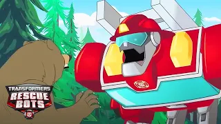 Transformers: Rescue Bots | Heatwave VS Grizzly Bear | Kids Cartoon | Animation | Transformers TV