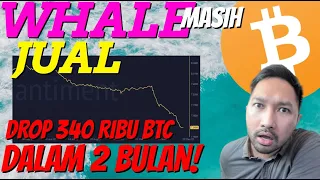 PREDIKISI HARGA BITCOIN! BITCOIN WHALE MASIH JUAL! DISTRIBUSI 340 RIBU BITCOIN DALAM 2 BULAN!